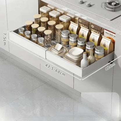Slide-Pro Pull-Out Cabinet Organizer