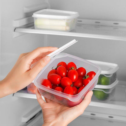 Refrigerator Fresh Frozen Food Storage Container